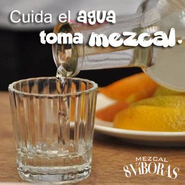 Descubrir 98 Imagen Curado De Mezcal Receta Abzlocal Mx