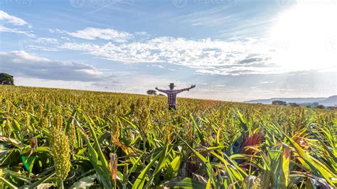 Liberdade Homem Agricultor Brasileiro Fique Na Fazenda Verde