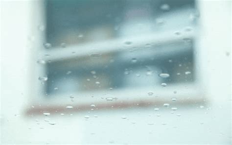 Rain Window GIF - Find & Share on GIPHY