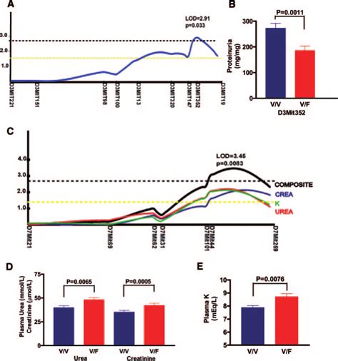 Genome Wide Scan Revealed Modifier Loci On Distal Chromosomes 3 And 7