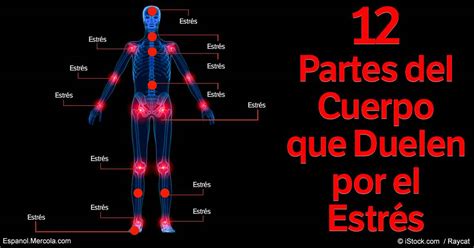 12 Dolores Que Son Por Estrés