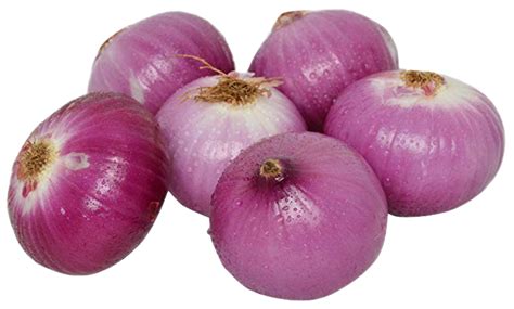 Onion PNG Images Transparent Background PNG Play