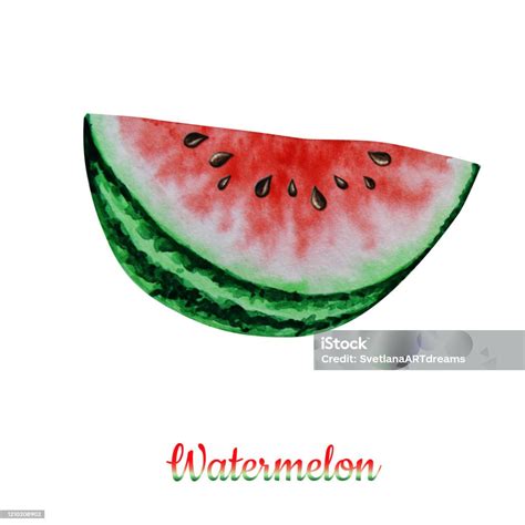 Watermelon Slice Fruit Watercolor Hand Drawn Illustration Fresh Healthy Food Natural Organic