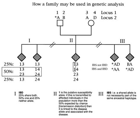 This Fictitious Pedigree Demonstrates The Principles Behind Linkage