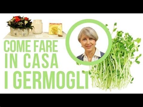 Come Fare Semi Germogli Alfa Alfa In Casa Senza Germogliatore Spiegato