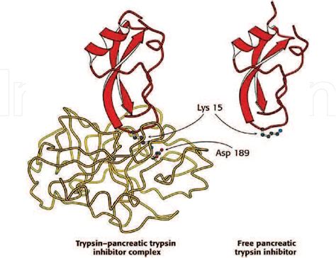 Figure 4 from Enzyme Inhibitors and Activators | Semantic Scholar