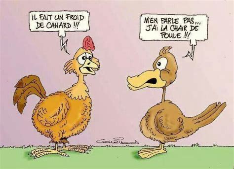 Froid de canard Humour Expressions idiomatiques Drôle