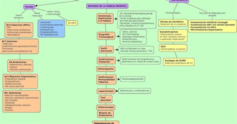 Portafolio Electronico Ginecologia