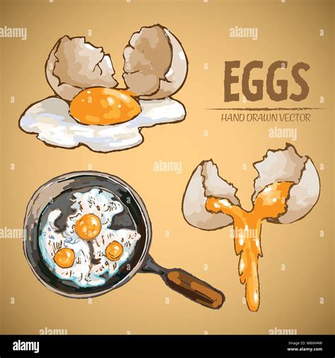 Digital Vector Detailed Line Art Cooking Eggs In Frying Pan Hand Drawn Retro Illustration