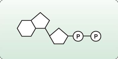 Adp Molecule - Ball-and-stick model of ADP - An adp molecule is ...