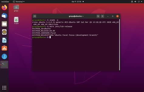 Ubuntu Focal Fossa