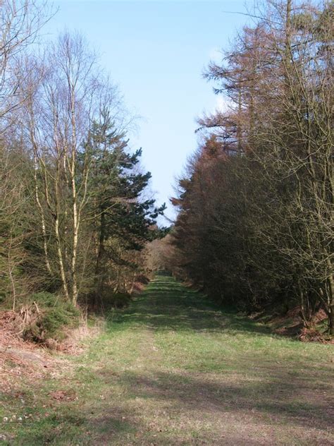 Forest Ride Pry Rigg Gordon Hatton Cc By Sa 2 0 Geograph Britain