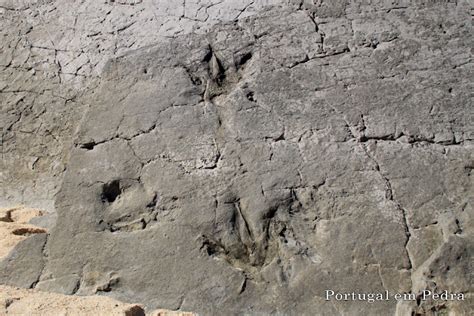 Cabo Mondego As Primeiras Pegadas De Dinossauros Descobertas Em Portugal