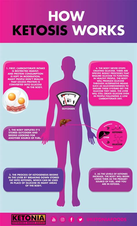 How Ketosis Works Ketogenic Ketosis Nutrition Data