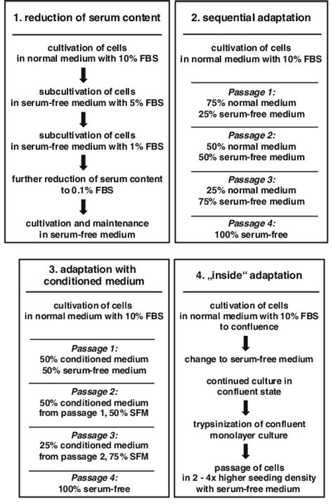 Adaptation Of Cultures To Serum Free Medium A Comparison Of The Most