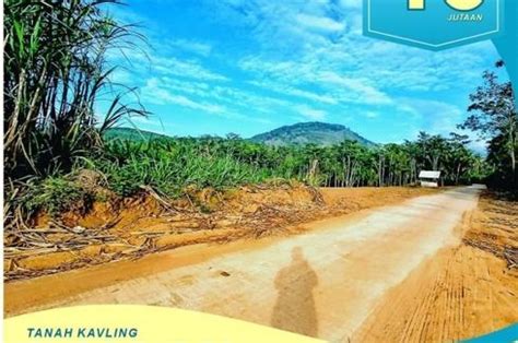 land  mojoagung east java rp  dot property