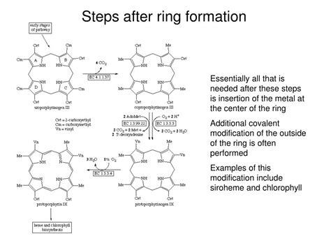 Ppt Porphyrin Ring Synthesis And Breakdown Powerpoint Presentation