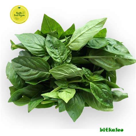 jual basil organik  gr po shopee indonesia
