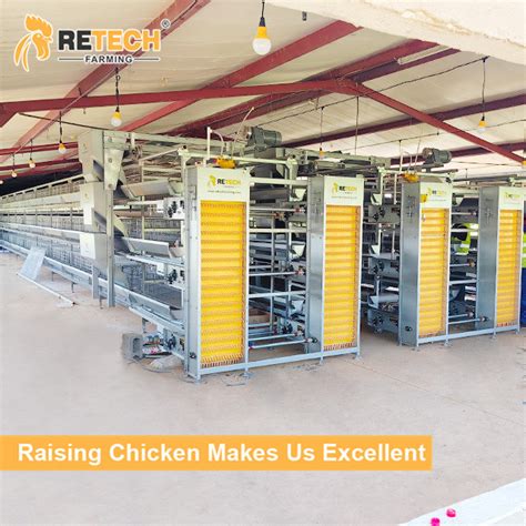 Automatic H Type Poultry Battery Cage Layer Chicken Cage Poultry Farm