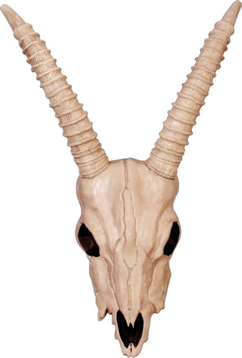 Skeleton Gazelle Head | SCostumes