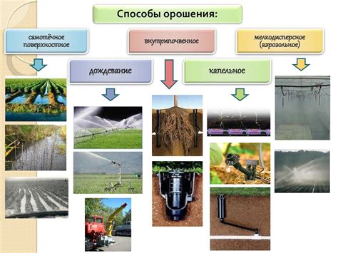 Лекция 11 Мелиорация - CALAMEO Downloader