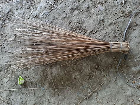 Coconut Brooms Nariyal Jhadu At Rs Piece Deganga Barasat Id