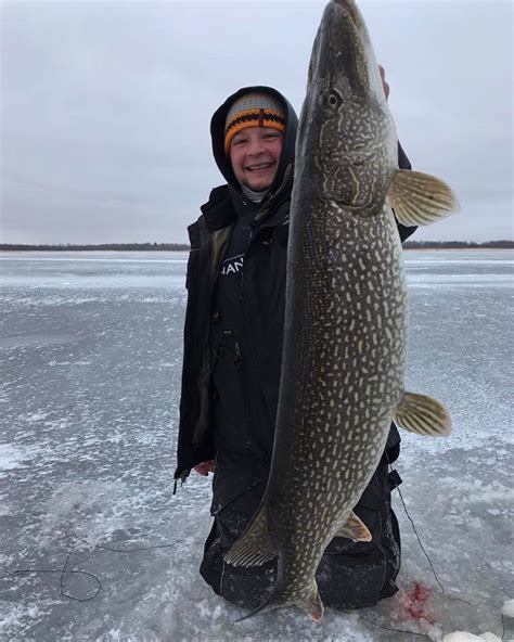 March Ice Fishing For Walleyes And Pike On Lake Of The Woods Lake Of