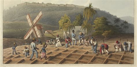 New Study Reveals The Historical Links Between Plantation Slavery And