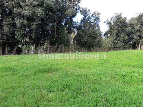 Terreno Edificabile Via Colle Oppio Anzio Rif 110429383 Immobiliare It