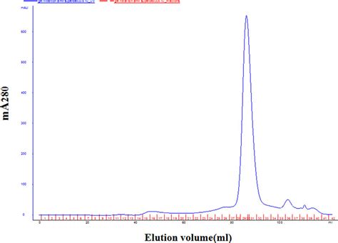 Chromatogram Of Size Exclusion Chromatography With Superdex Pg