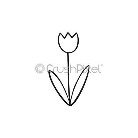 Kinderen Tekening Van Een Tulp Gemaakt Van Lijnen Op Een Stock Vector