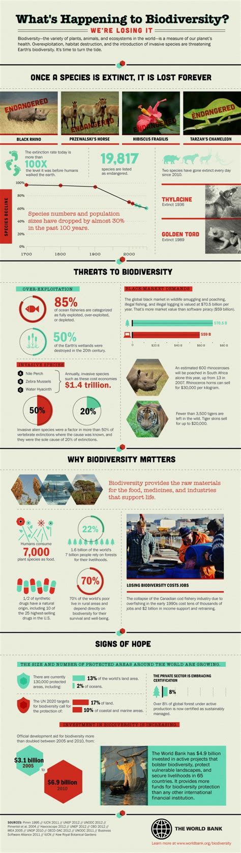 Whats Happening To Biodiversity Infographic Infographics Zone