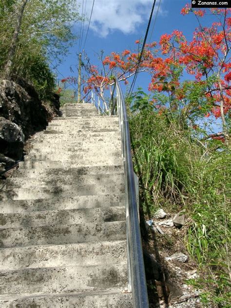 Anse Noire Martinique