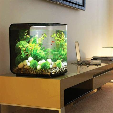 Un Aquarium Pour Une Touche Nature Dans La Maison En Meuble