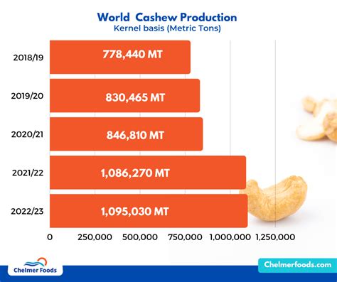 Cashew Market Report 26 06 2023 Chelmer Foods