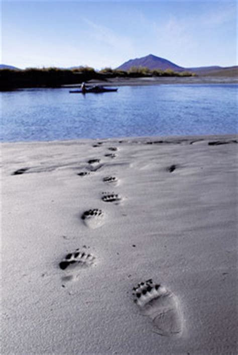 Canoe Alaska’s Noatak River in the Brooks Range of the Alaskan Arctic ...