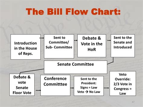 Mr Amutans Hw And Info Blog How A Bill Becomes A Law