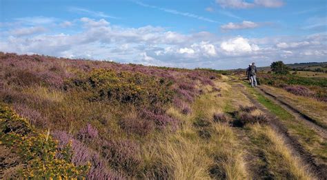 Shillito Totley Moor Hurkling Stone Miles Flickr