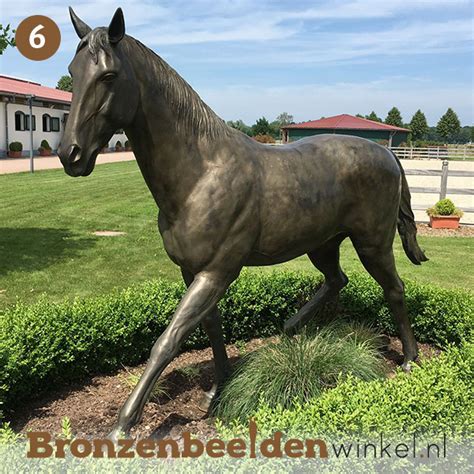 Bronzen Paarden Beelden Kopen Paard Van Brons Huis Tuin