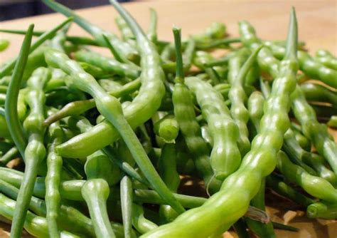 Это интересно: Необычные овощи для вашего огорода: яванский редис