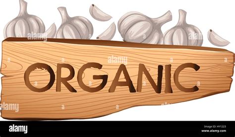 Organic Sign And Garlic Illustration Stock Vector Image And Art Alamy