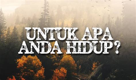 Untuk Apa Kita Hidup Di Dunia Untuk Apa Kita Diciptakan