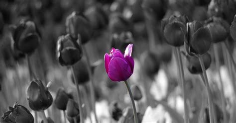 Breaking the Silence: Finding Connection When You Feel Alone - Hunter Games Magazine
