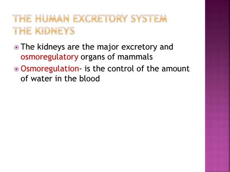 Excretion Ppt Download