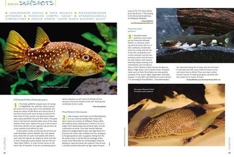 Amazonas “tetras To Discover” Issue Inside Look Amazonas Magazine