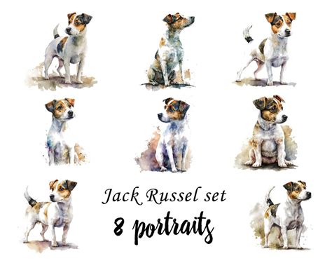 Jack Russell Portraits Set, Jack Russell Clipart, Commercial Use, Jack ...