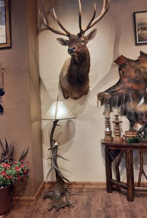 Decorating Ideas With Elk Antlers Shelly Lighting