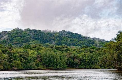 French Guianas Cacao Market By Boat With Waki Village Cheeseweb