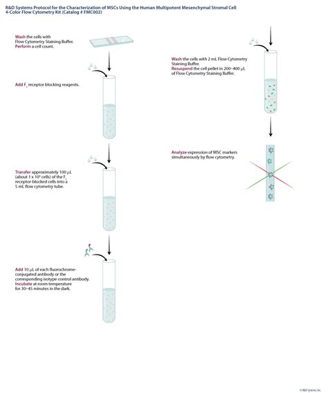 Human Mesenchymal Stem Cell Flow Kit Fmc R D Systems