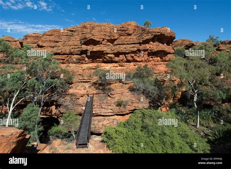 australia nt watarrka national park kings canyon rim walk wooden